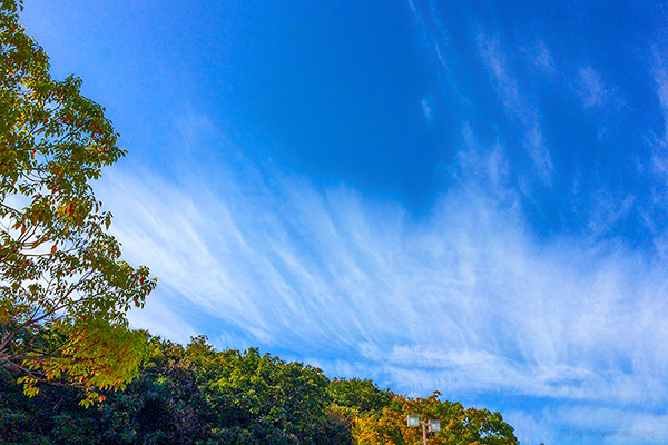 photo by AKIRA MIYAMOTO