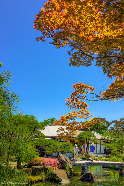 photo by AKIRA MIYAMOTO