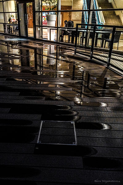 photo by AKIRA MIYAMOTO