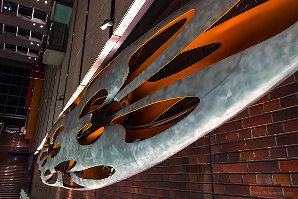 Photo by AKIRA MIYAMOTO