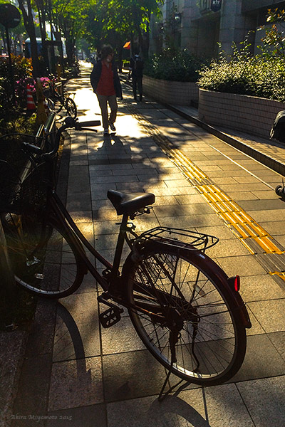 photo by AKIRA MIYAMOTO