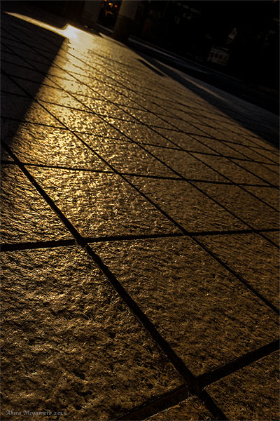 photo by AKIRA MIYAMOTO