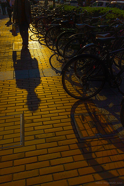 photo by AKIRA MIYAMOTO