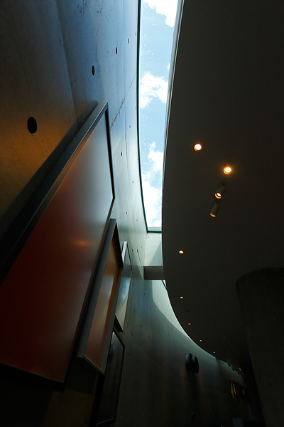 明暗差の強い被写体