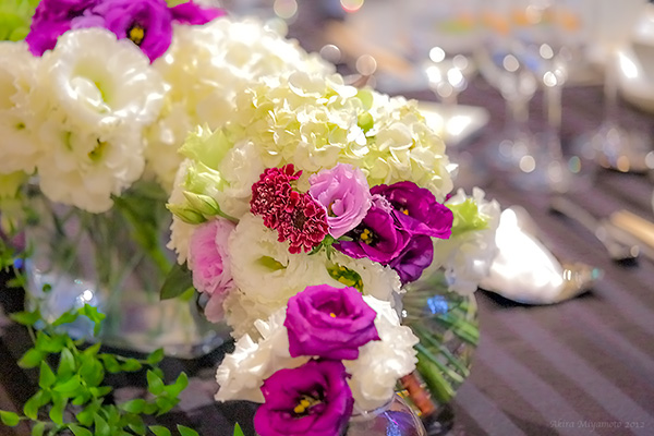 photo by AKIRA MIYAMOTO