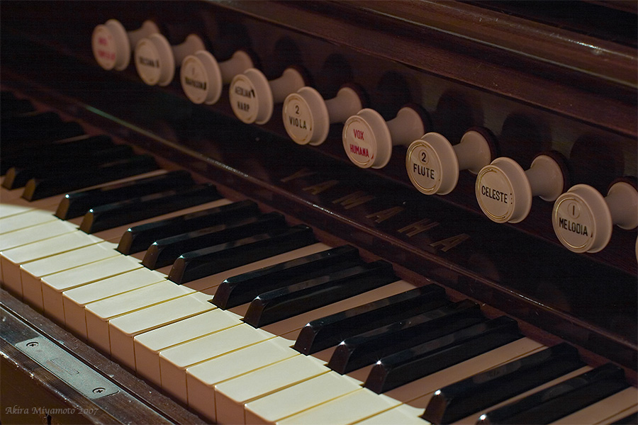 photo AKIRA MIYAMOTO