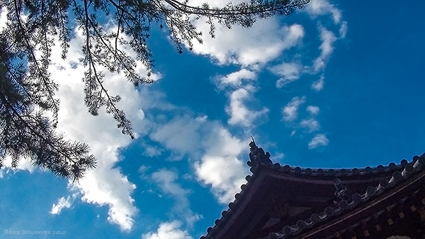 photo by AKIRA MIYAMOTO