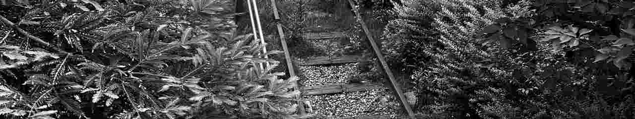 廃線跡を訪ねる photo 宮本章光