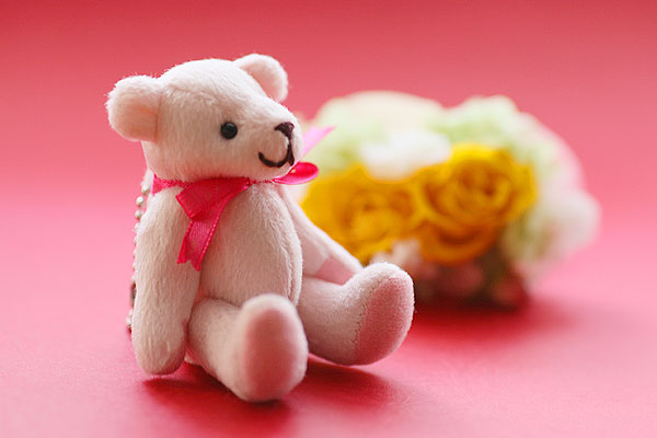 カルチャーで学ぶ初心者からのデジタル一眼レフ