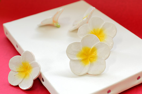 個人フォトレッスンにて