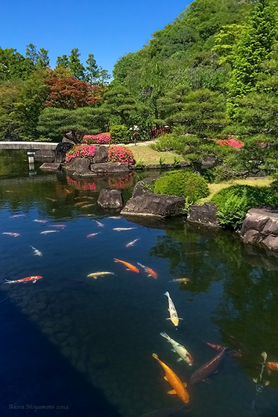 Photo by AKIRA MIYAMOTO