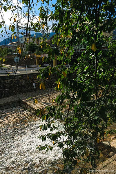 photo by AKIRA MIYAMOTO