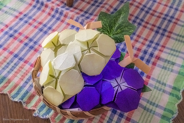 photo by AKIRA MIYAMOTO