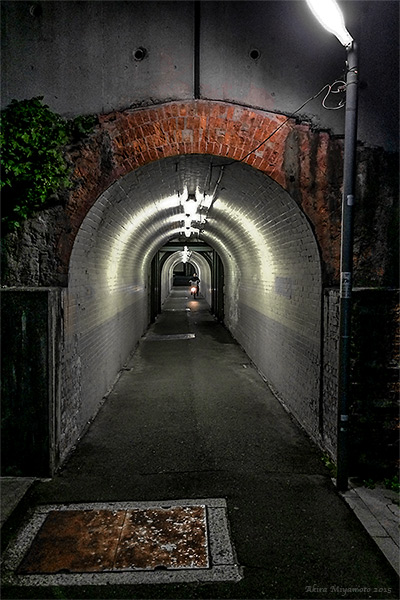 photo by AKIRA MIYAMOTO