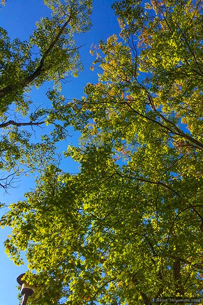 photo by AKIRA MIYAMOTO