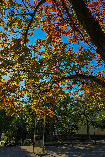 photo by AKIRA MIYAMOTO