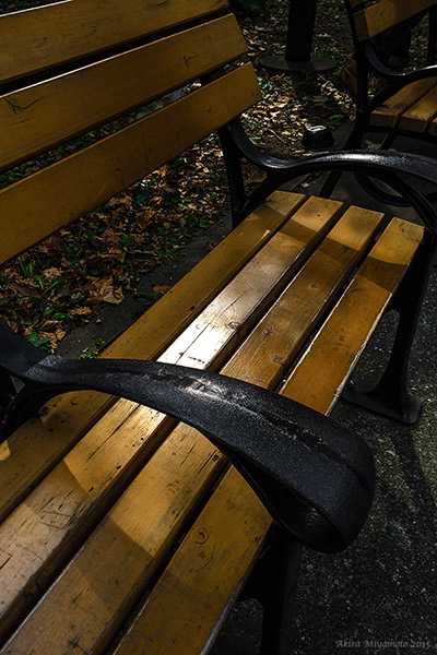 photo by AKIRA MIYAMOTO