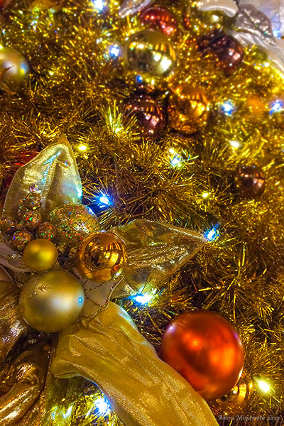 photo by AKIRA MIYAMOTO