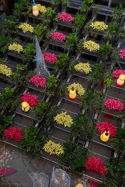 photo by AKIRA MIYAMOTO