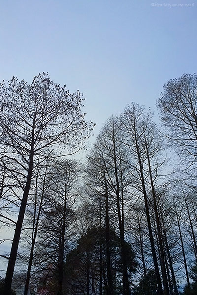 photo by AKIRA MIYAMOTO