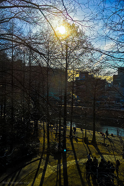 photo by AKIRA MIYAMOTO