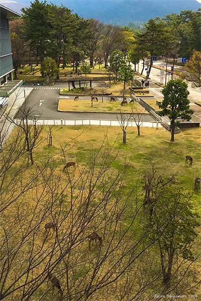 photo by AKIRA MIYAMOTO