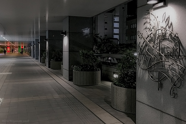 photo by AKIRA MIYAMOTO