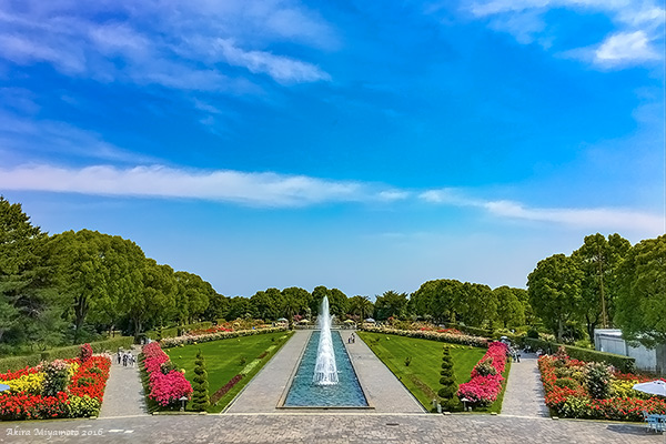 photo by Akira Miyamoto