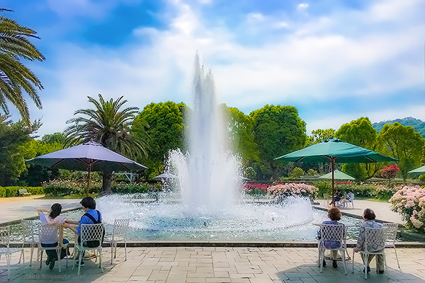 photo by AKIRA MIYAMOTO