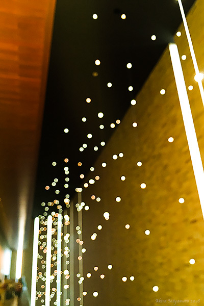 photo by AKIRA MIYAMOTO