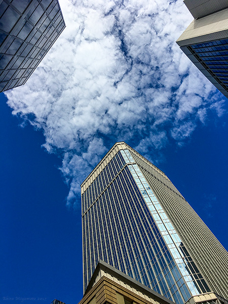 photo by AKIRA MIYAMOTO