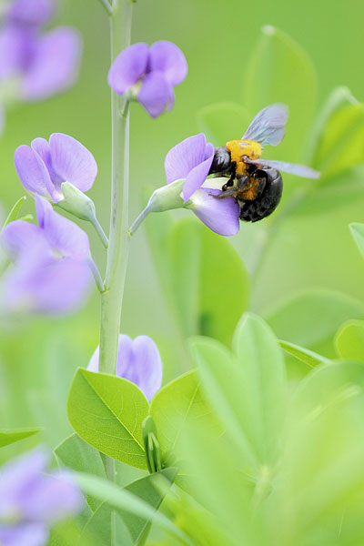 カルチャーで学ぶデジタルカメラステップアップクラスより