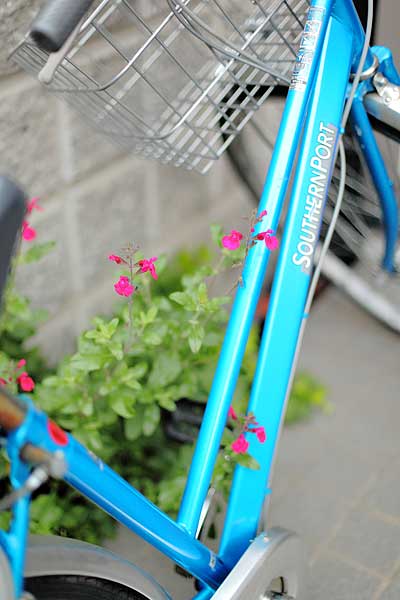 ボケ具合を楽しむ写真