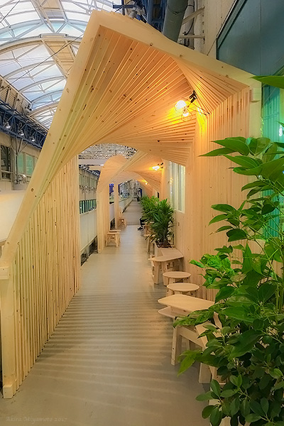 photo by AKIRA MIYAMOTO