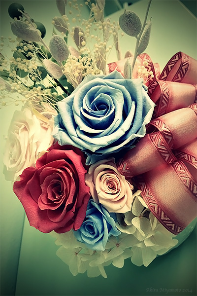 AKIRA MIYAMOTO'sPhoto