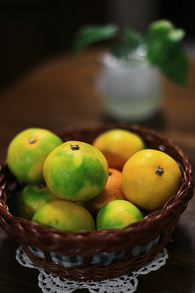 EOS5Dmark2のフルサイズと単焦点レンズを活かしたボケ表現