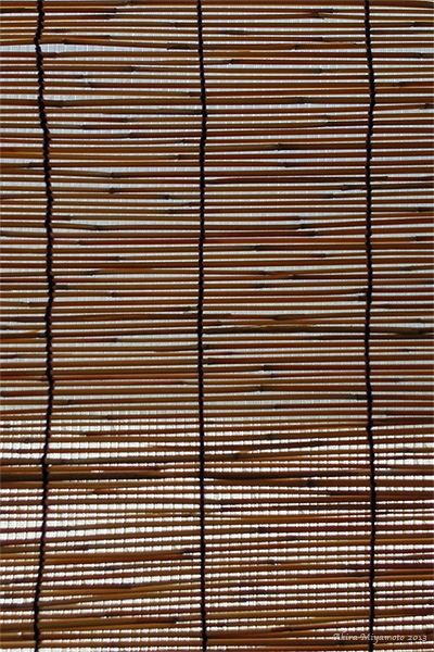 AKIRA MIYAMOTO's Photo