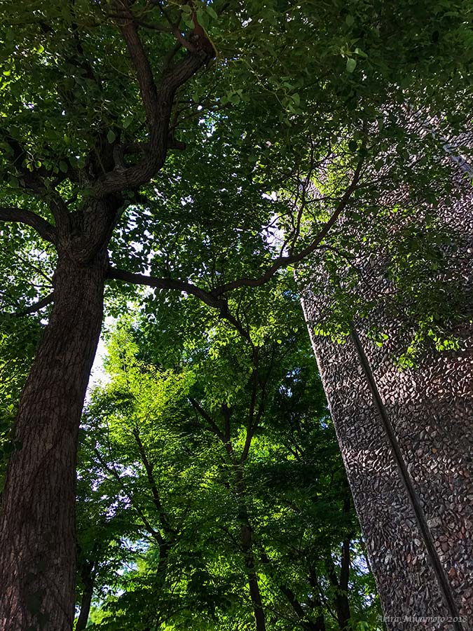 photo AKIRA MIYAMOTO