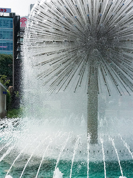 photo by AKIRA MIYAMOTO