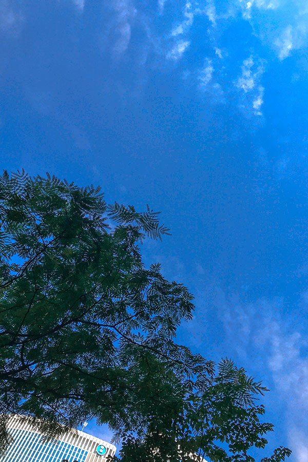 photo AKIRA MIYAMOTO