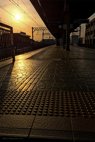 Photograper AKIRA MIYAMOTO