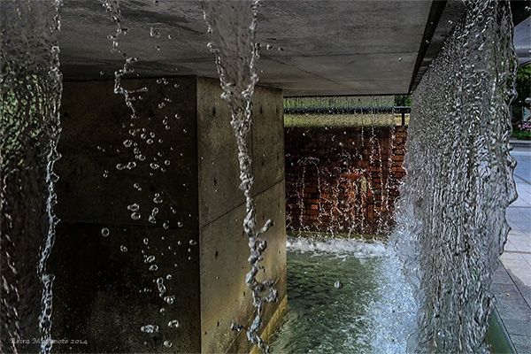 AKIRA MIYAMOTO's Photo