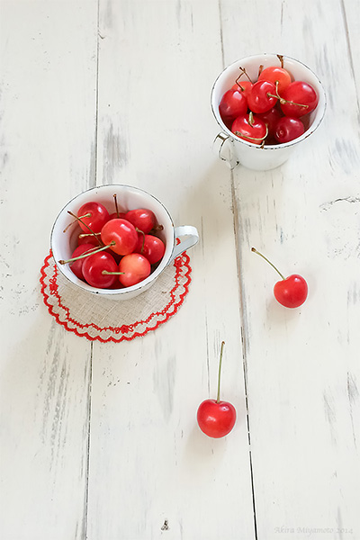 AkiraMiyamoto's PHOTO