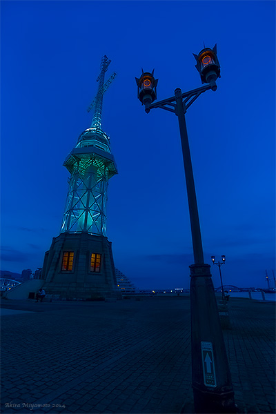 AKIRA MIYAMOTO's Photo