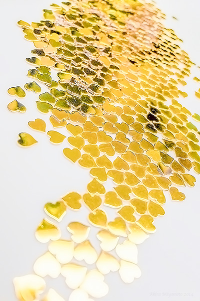 Akira Miyamoto's Photo