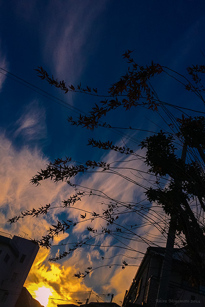 Akira Miyamoto's Photo