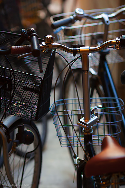 AKIRA MIYAMOTO's phoo