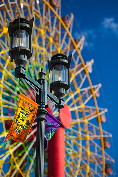 photo by AKIRA MIYAMOTO