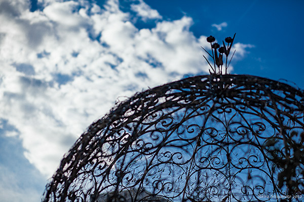 photo by AKIRA MIYAMOTO