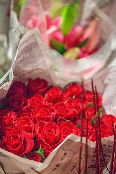 photo by AKIRA MIYAMOTO